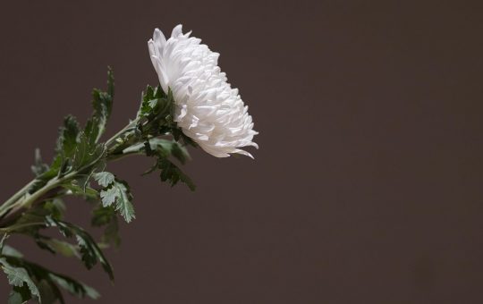 Corpo ritrovato senza vita