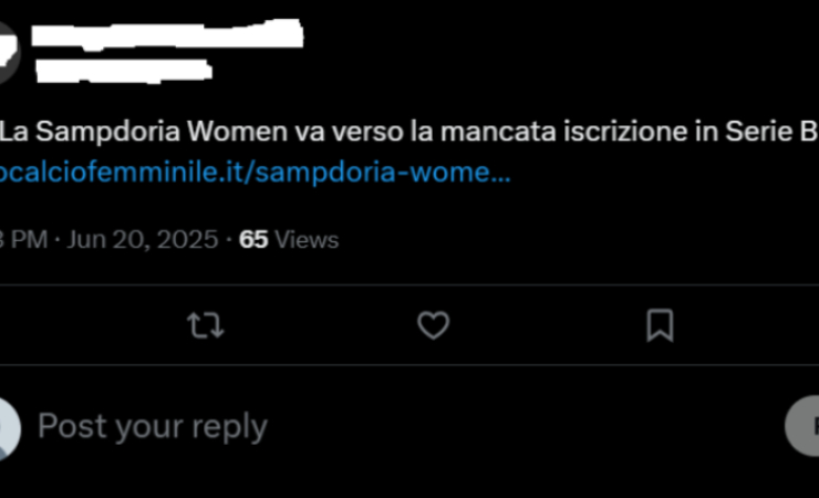 Gli ultimi aggiornamenti 